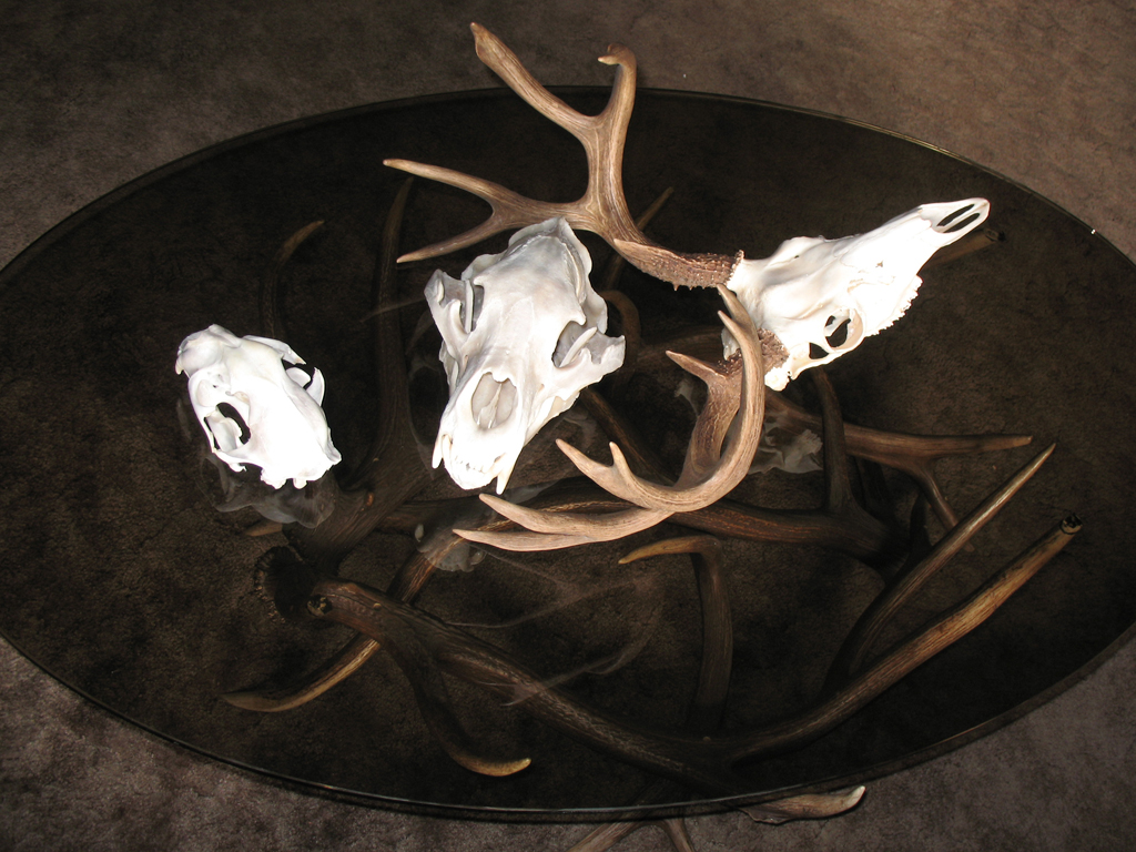 Euro Mounts 1