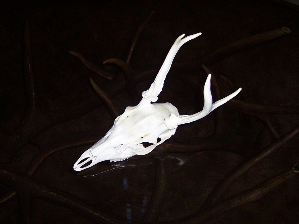 Euro Mounts 2